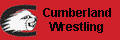 wrestling linkpic